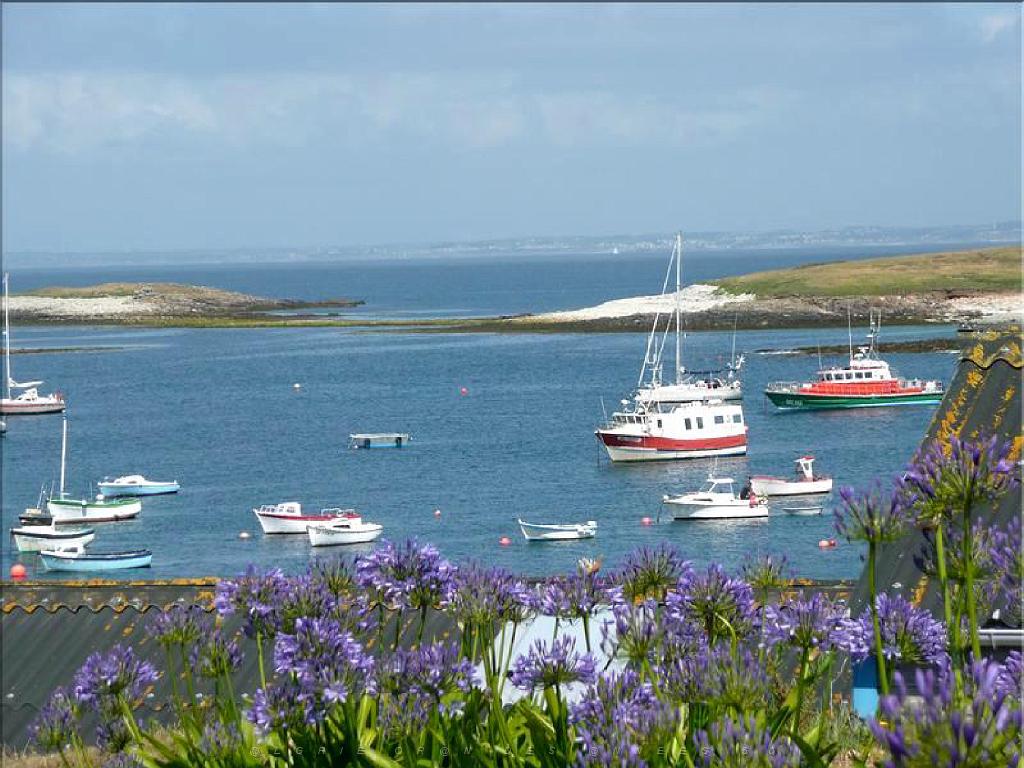 129 ILE DE MOLENE_000004.jpg